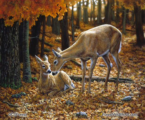 Whitetail deer & fawn